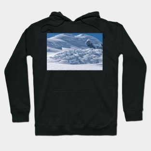 Tasman Glacier Hoodie